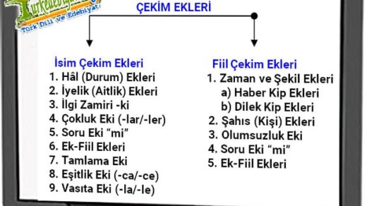 İsim ve Çekim Ekleri Arasındaki Farkları Anlama Yöntemleri [Uzman Rehber 2026] - Kapak Görseli